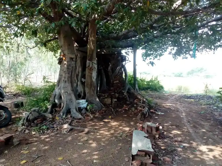 Arulmigu Muniswarar Temple, Chandirapadi - 609304 அருள்மிகு முனீஸ்வர் சுவாமி திருக்கோயில், Chandirapadi - 609304, Mayiladuthurai - Ancient Temple Architecture and History Image 5