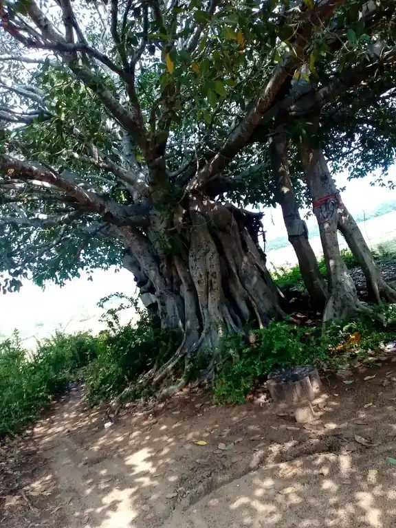 Arulmigu Muniswarar Temple, Chandirapadi - 609304 அருள்மிகு முனீஸ்வர் சுவாமி திருக்கோயில், Chandirapadi - 609304, Mayiladuthurai - Ancient Temple Architecture and History Image 7