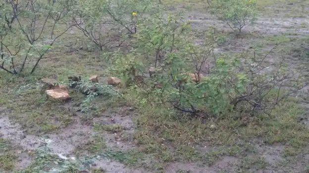 Arulmigu Muniyanar, Mathuraveeran Temple, Melavannam - 621730 Arulmigu Muniyanar, Mathuraveeran Temple,  - 621730, Ariyalur - Ancient Temple Architecture and History Image 3