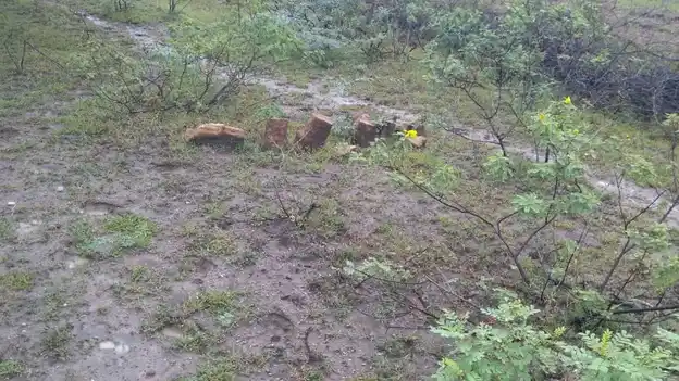 Arulmigu Muniyanar, Mathuraveeran Temple, Melavannam - 621730 Arulmigu Muniyanar, Mathuraveeran Temple,  - 621730, Ariyalur - Ancient Temple Architecture and History Image 4