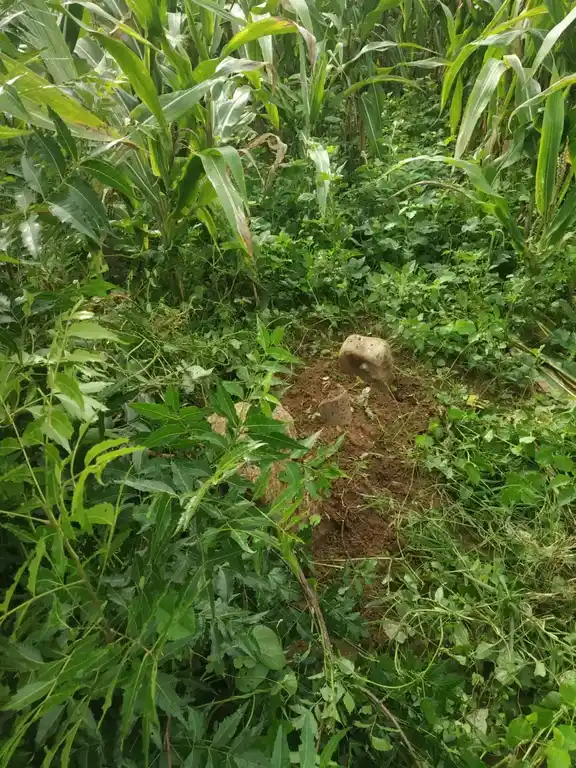 Arulmigu Muniyanar Temple, Athur - 621713 அருள்மிகு முனியனார் திருக்கோயில், Athur - 621713, Perambalur - Ancient Temple Architecture and History Image 4