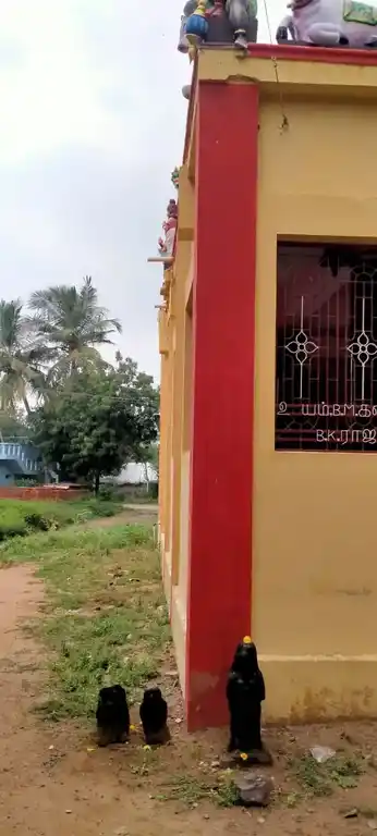 Arulmigu Muniyanar Temple, Boothamur - 606003 அருள்மிகு முனியனார் திருக்கோயில், Boothamur - 606003, Cuddalore - Ancient Temple Architecture and History Image 6