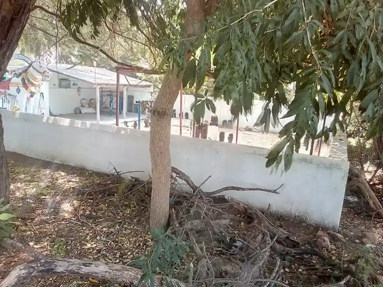 Arulmigu Muniyanar Temple, Kattupiringiyam - 621704 அருள்மிகு முனியனார் திருக்கோயில், காட்டுபிரிங்கியம் - 621704, Ariyalur - Ancient Temple Architecture and History Image 3