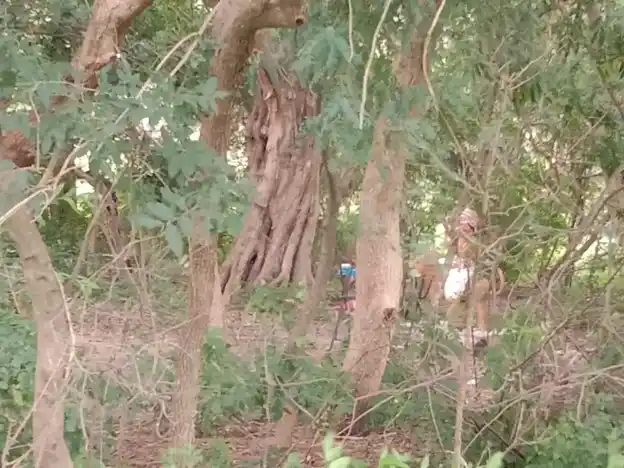 Arulmigu Muniyanar Temple, Kosavankudikadu - 621705 Arulmigu Muniyanar Temple,  - 621705, Ariyalur - Ancient Temple Architecture and History Image 4