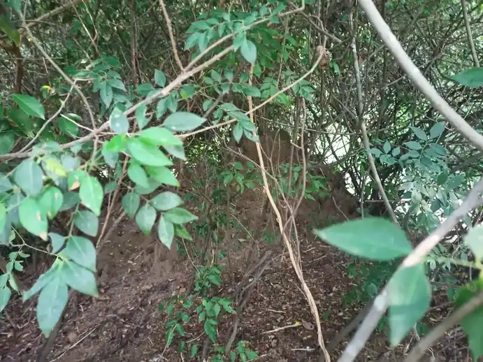 Arulmigu Muniyanar Temple, Muthuservamadam - 612903