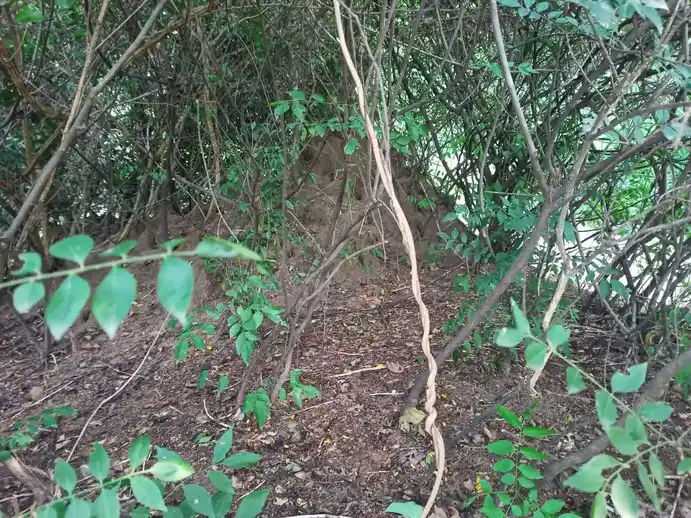 Arulmigu Muniyanar Temple, Muthuservamadam - 612903 அருள்மிகு முனியனார் திருக்கோயில், Muthuservamadam - 612903, Ariyalur - Ancient Temple Architecture and History Image 3