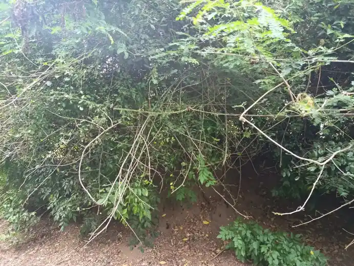 Arulmigu Muniyanar Temple, Muthuservamadam - 612903 அருள்மிகு முனியனார் திருக்கோயில், Muthuservamadam - 612903, Ariyalur - Ancient Temple Architecture and History Image 5