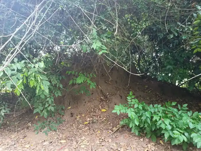 Arulmigu Muniyanar Temple, Muthuservamadam - 612903 அருள்மிகு முனியனார் திருக்கோயில், Muthuservamadam - 612903, Ariyalur - Ancient Temple Architecture and History Image 7