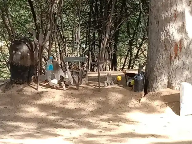 Arulmigu Muniyanar Temple, Pungankuzi - 621701 Arulmigu Muniyanar Temple,  - 621701, Ariyalur - Ancient Temple Architecture and History Image 2