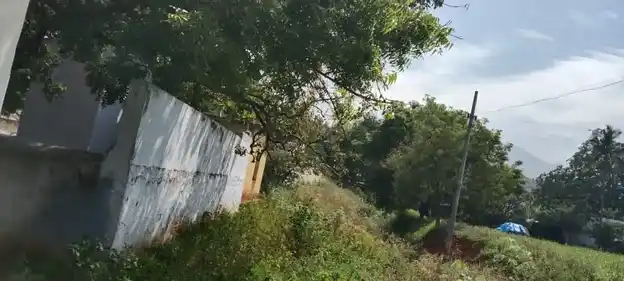 Arulmigu Muniyappa Swamy Temple, Chathirapatti - 624620 அருள்மிகுமுனியப்பசாமி கோயில், Chathirapatti - 624620, Dindigul - Ancient Temple Architecture and History Image 4