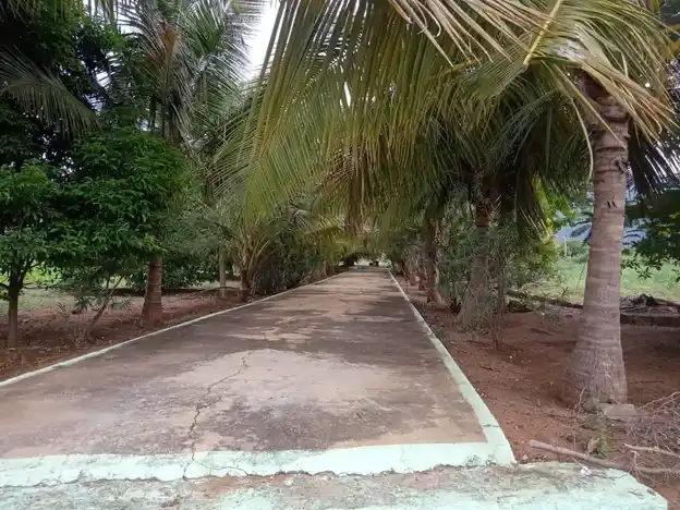 Arulmigu Muniyappan Temple, Chozhamudaiyampatti, Thirumalaipatti - 637404 அருள்மிகு முனியப்பன் திருக்கோயில், சோழமுடையாம்பட்டி, Thirumalaipatti - 637404, Namakkal - Ancient Temple Architecture and History Image 4