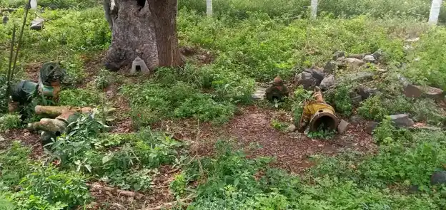 Arulmigu Muniyappan Temple, Sarkar Nattamangalam - 637403 அருள்மிகு முனியப்பன் திருக்கோயில், Sarkar Nattamangalam - 637403, Namakkal - Ancient Temple Architecture and History Image 3