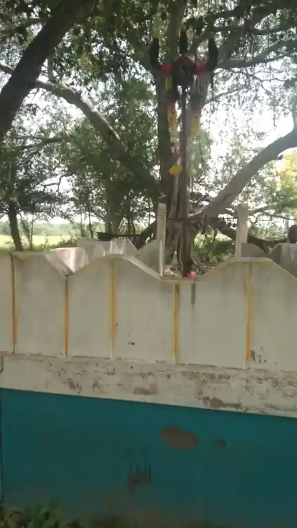 Arulmigu Muniyappasamy Temple, Padamaththur - 630561 அருள்மிகு. முனியப்பசாமி திருக்கோயில், Padamaththur - 630561, Sivagangai - Ancient Temple Architecture and History Image 5