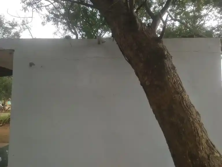 Arulmigu Muniyappaswamy Temple, Marandahalli - 636806