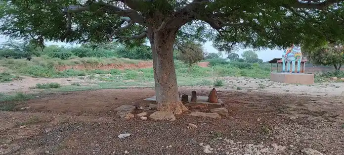Arulmigu Muniyappaswamy Temple, Thondamanginam (Yerissaloor) - 621313 அருள்மிகு முனியப்பசுவாமி திருக்கோயில்,  - 621313, Karur - Ancient Temple Architecture and History Image 3