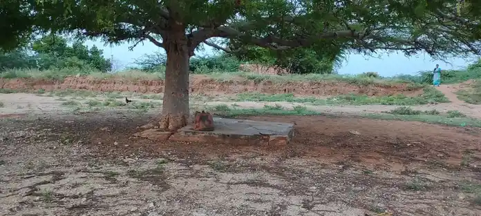 Arulmigu Muniyappaswamy Temple, Thondamanginam (Yerissaloor) - 621313 அருள்மிகு முனியப்பசுவாமி திருக்கோயில்,  - 621313, Karur - Ancient Temple Architecture and History Image 5