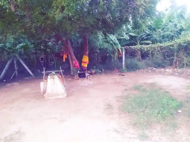 Arulmigu Muniyasamy Temple, Patchaiapuram - 628601