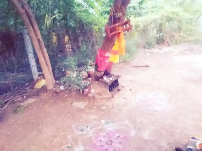 Arulmigu Muniyasamy Temple, Patchaiapuram - 628601 அருள்மிகு முனியசாமி திருக்கோயில், - - 628601, Thoothukudi - Ancient Temple Architecture and History Image 3