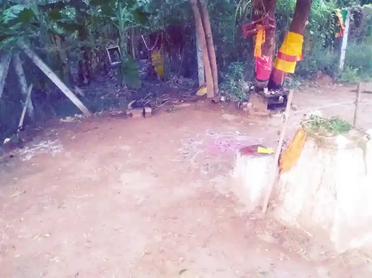 Arulmigu Muniyasamy Temple, Patchaiapuram - 628601 அருள்மிகு முனியசாமி திருக்கோயில், - - 628601, Thoothukudi - Ancient Temple Architecture and History Image 4