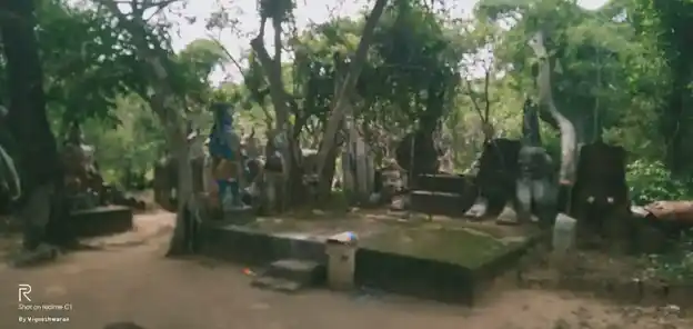 Arulmigu Munneeswarar Temple, Suranviduthi - 622301