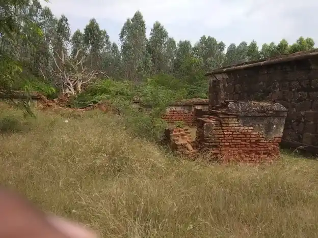 Arulmigu Munneswarar Temple, Kalasamangalam, Alangudi Taluk - 622303 அருள்மிகு முனீஸ்வரர் திருக்கோயில், கலசமங்கலம், ஆலங்குடி வட்டம் - 622303, Pudukkottai - Ancient Temple Architecture and History Image 3