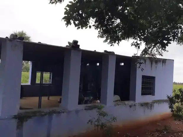 Arulmigu Munniyappan Temple, Kattur - 638315 அருள்மிகு முனியப்பன் திருக்கோயில், Kattur, Kattur - 638315, Erode - Ancient Temple Architecture and History Image 11