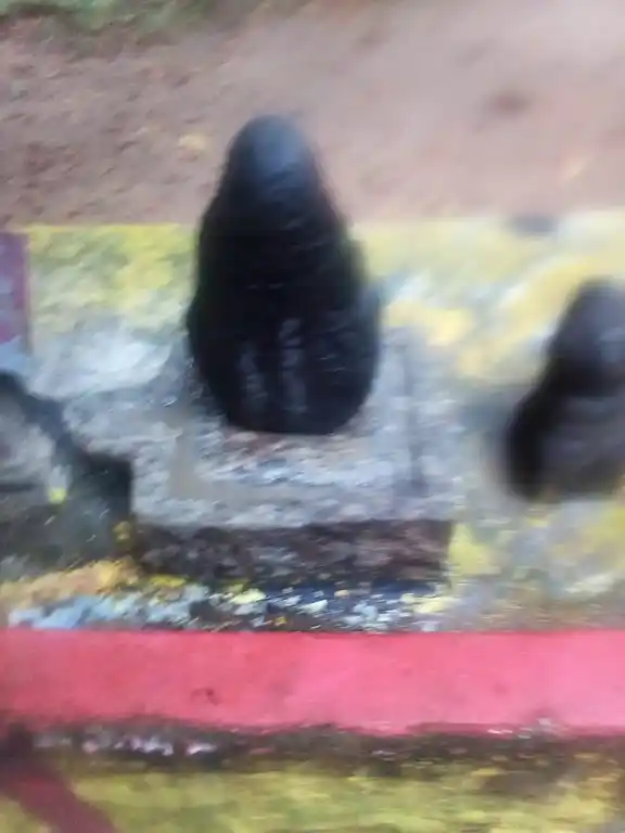 Arulmigu Munpala Sastha Temple, Karakandeswaram, Thirunainarkurichi - 629175 Arulmigu Munpala Sastha Temple, Karakandeswaram, Thirunainarkurichi - 629175, Kanyakumari - Ancient Temple Architecture and History Image 3