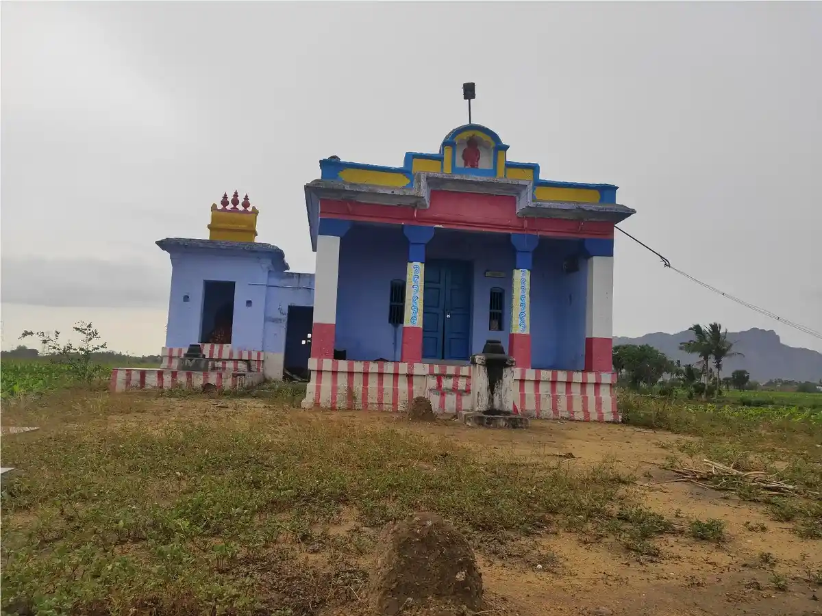 Arulmigu Muppidathi Amman Temple, Karisoolnthamangalam - 627453 அருள்மிகு முப்புடாதியம்மன் திருக்கோயில், கரிசூழ்ந்தமங்களம் - 627453, Tirunelveli - Ancient Temple Architecture and History Image 2
