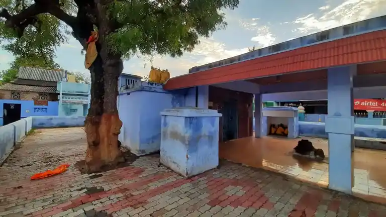 Arulmigu Muppidathiamman Temple, Pappakudi - 627602 அருள்மிகு முப்பிடாதியம்மன் திருக்கோயில், Pappakudi - 627602, Tirunelveli - Ancient Temple Architecture and History Image 2
