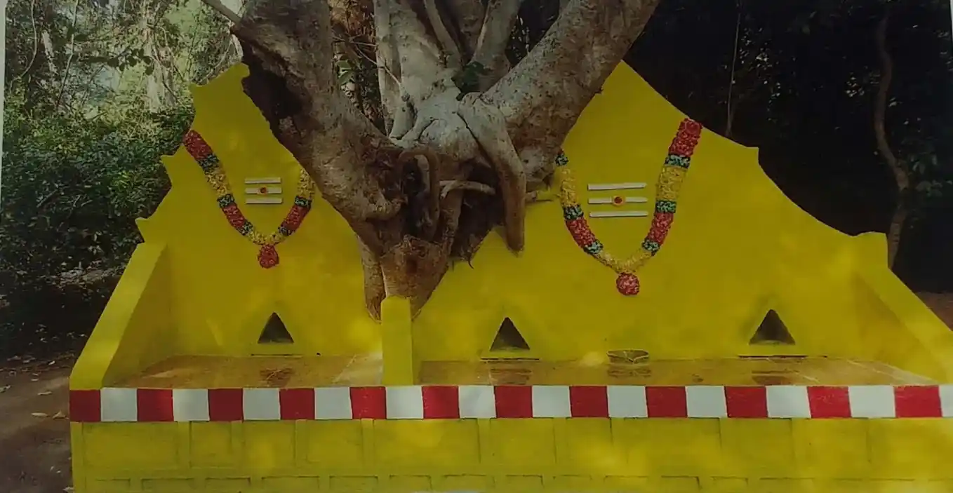 Arulmigu Murasa Karuppar Temple, Oduvanpatti - 630502