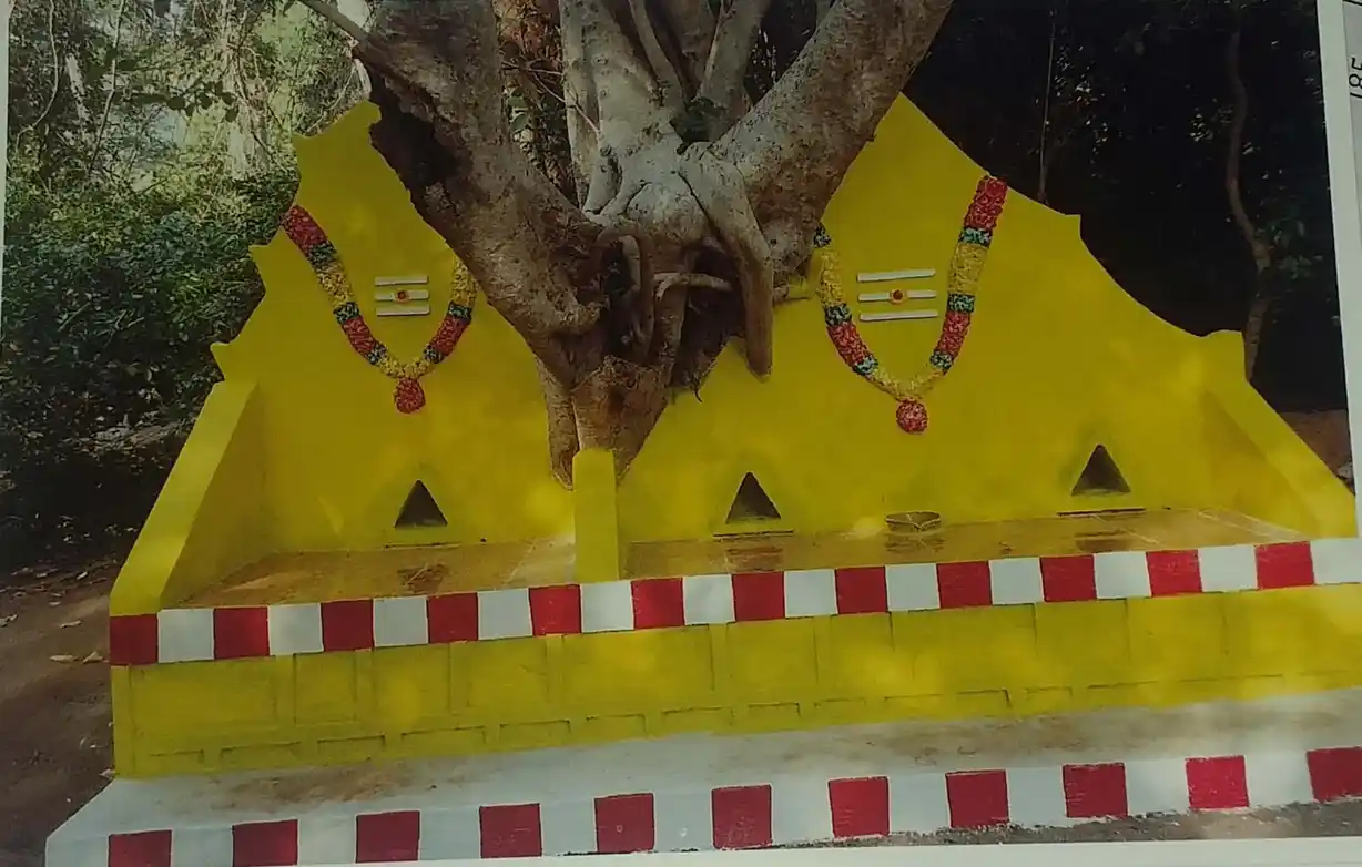 Arulmigu Murasa Karuppar Temple, Oduvanpatti - 630502 அருள்மிகு. முரசல் கருப்பர் திருக்கோயில், Oduvanpatti - 630502, Sivagangai - Ancient Temple Architecture and History Image 4