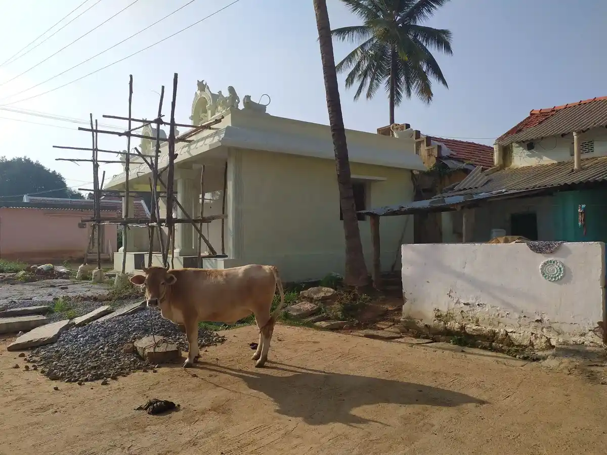 Arulmigu Muruda Basuveswarar Temple, Gopachandram - 635107 அருள்மிகு முரட பசவேஸ்வரர் திருக்கோயில், Gopachandram - 635107, Krishnagiri - Ancient Temple Architecture and History Image 6