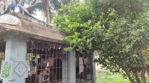 Arulmigu Murugan Temple, Ambalavananpettai - 607301 அருள்மிகு முருகன் திருக்கோயில், Ambalavananpettai - 607301, Cuddalore - Ancient Temple Architecture and History Image 4