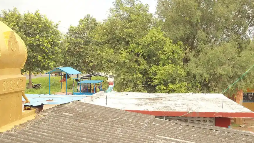 Arulmigu Murugan Temple, Indili - 606203 அருள்மிகு முருகன் திருக்கோயில், இந்திலி - 606203, Kallakurichi - Ancient Temple Architecture and History Image 4