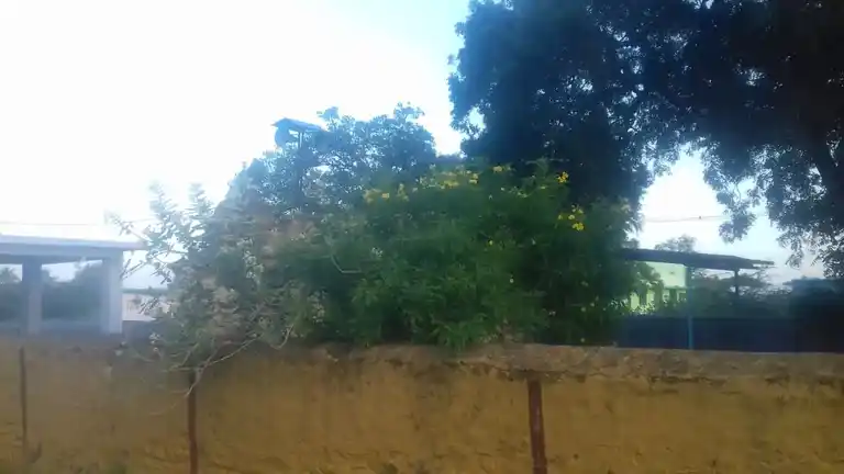 Arulmigu Murugan Temple, Kothaiyam - 624614 அருள்மிகு முருகன் திருக்கோயில், Kothaiyam - 624614, Dindigul - Ancient Temple Architecture and History Image 3