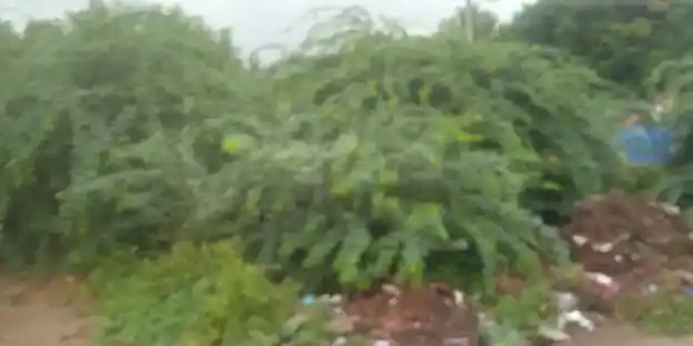 Arulmigu Murugan Temple, Srimushnam - 608703 அருள்மிகு முருகன் திருக்கோயில், Srimushnam - 608703, Cuddalore - Ancient Temple Architecture and History Image 4