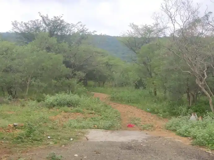 Arulmigu Muthalamman Jakkalamman Temple, Kobinayakanpatti - 624706 அருள்மிகு முத்தாலம்மன் ஜக்காலம்மன் திருக்கோயில், Kobinayakanpatti - 624706, Dindigul - Ancient Temple Architecture and History Image 4