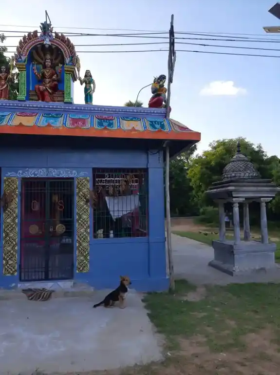 Arulmigu Muthalamman Temple, Ayyethurai - 607003 அருள்மிகு முத்தாலம்மன் திருக்கோயில், Ayyethurai - 607003, Cuddalore - Ancient Temple Architecture and History Image 2