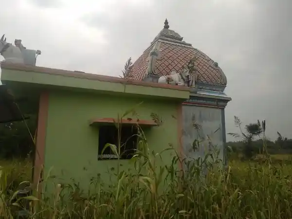 Arulmigu Muthalamman Temple, Mottanampatti - 624802 அருள்மிகு முத்தாலம்மன் திருக்கோயில், Mottanampatti - 624802, Dindigul - Ancient Temple Architecture and History Image 2