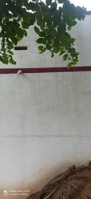 Arulmigu Muthalamman Temple, Pazharpatti - 621311 Arulmigu Muthalamman Temple, Pazharpatti - 621311, Thiruchirappalli - Ancient Temple Architecture and History Image 2