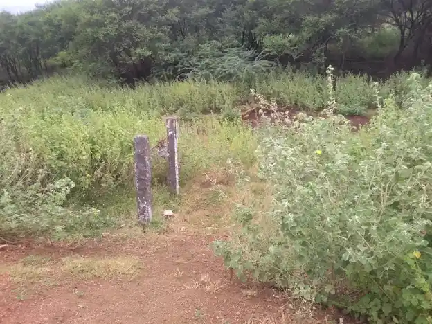 Arulmigu Muthalamman Temple, Valayapatti - 625022 அருள்மிகு முத்தாலம்மன் திருக்கோயில், Valayapatti - 625022, Madurai - Ancient Temple Architecture and History Image 2