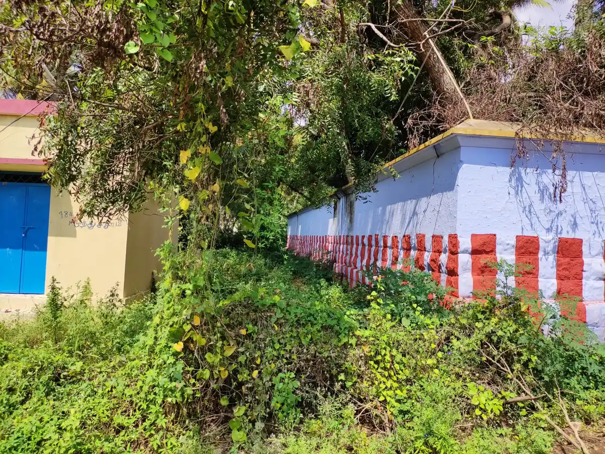 Arulmigu Muthallamman Temple, Vilampatty - 624219 அருள்மிகு முத்தாலம்மன் திருக்கோயில், விளாம்பட்டி - 624219, Dindigul - Ancient Temple Architecture and History Image 6