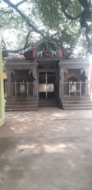 Arulmigu Mutharamman Temple, Chettikulam - 627120 அருள்மிகு முத்தாரம்மன் திருக்கோயில், Chettikulam - 627120, Tirunelveli - Ancient Temple Architecture and History Image 2