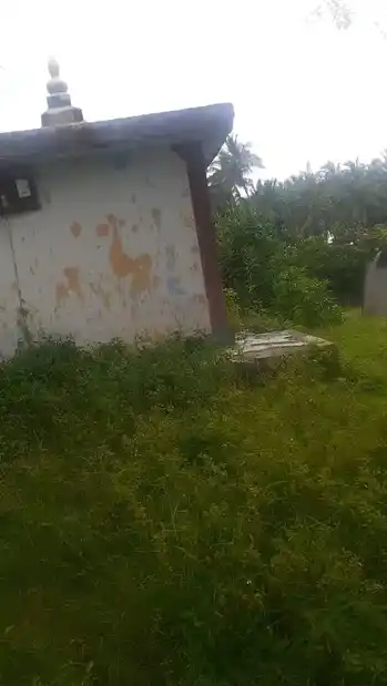 Arulmigu Mutharamman Temple, Kezhakurandi, Theroor - 629704 அருள்மிகு முத்தாரம்மன் திருக்கோயில், Kezhakurandi, Theroor - 629704, Kanyakumari - Ancient Temple Architecture and History Image 3