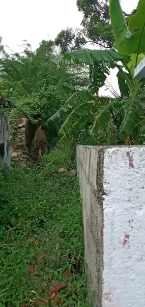 Arulmigu Mutharamman Temple, Santhaivilai Parvathiputhoor Junction, Thovalai - 629302 Arulmigu Mutharamman Temple, Santhaivilai Parvathiputhoor Junction, Thovalai - 629302, Kanyakumari - Ancient Temple Architecture and History Image 2