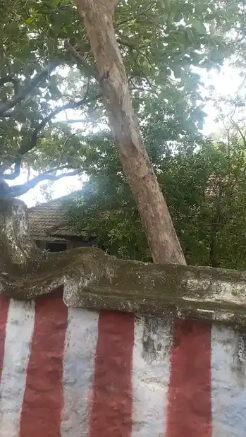 Arulmigu Mutharamman Temple, Thamaraikulam - 629707 அருள்மிகு முத்தாரம்மன் திருக்கோயில், Thamaraikulam - 629707, Kanyakumari - Ancient Temple Architecture and History Image 3