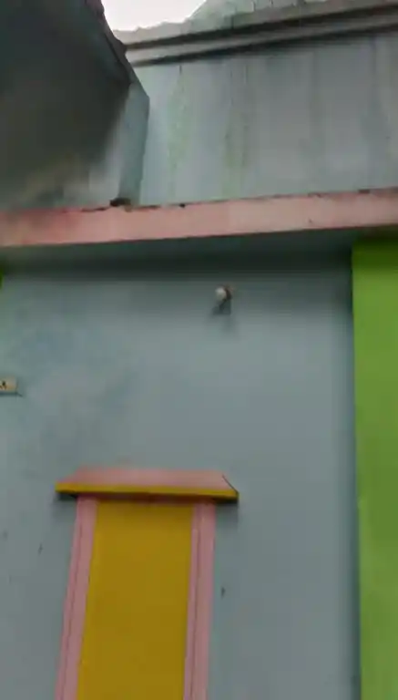 Arulmigu Mutharamman Temple, Vairavilai, Madhusoothanapuram - 629601 அருள்மிகு முத்தாரம்மன் திருக்கோயில், Vairavilai, Madhusoothanapuram - 629601, Kanyakumari - Ancient Temple Architecture and History Image 4