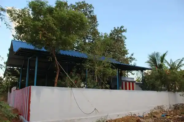 Arulmigu Mutharamman Temple, Village West Side, Kuppakurichi - 627361 அருள்மிகு முத்தாரம்மன் திருக்கோயில், Village West Side, Kuppakurichi - 627361, Tirunelveli - Ancient Temple Architecture and History Image 2