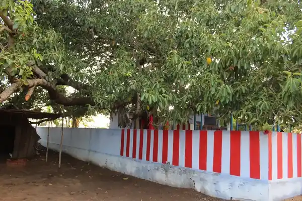 Arulmigu Mutharamman Temple, Village West Side, Kuppakurichi - 627361 அருள்மிகு முத்தாரம்மன் திருக்கோயில், Village West Side, Kuppakurichi - 627361, Tirunelveli - Ancient Temple Architecture and History Image 3