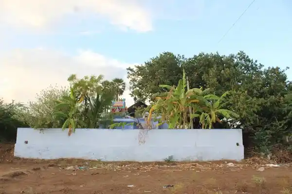 Arulmigu Mutharamman Temple, Village West Side, Kuppakurichi - 627361 அருள்மிகு முத்தாரம்மன் திருக்கோயில், Village West Side, Kuppakurichi - 627361, Tirunelveli - Ancient Temple Architecture and History Image 4